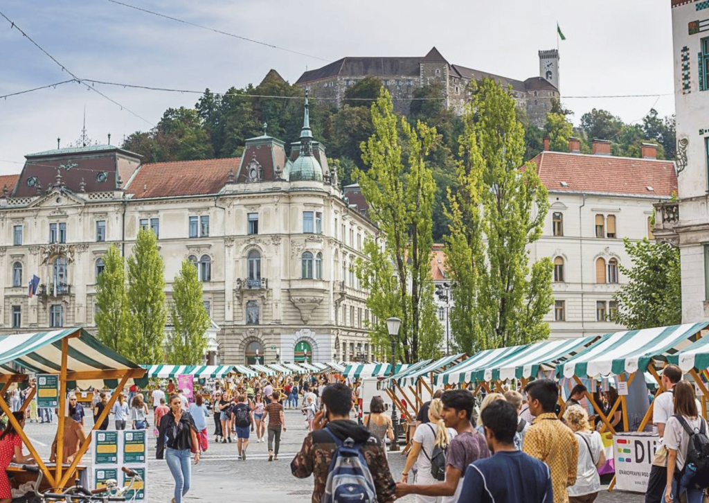 LUPA Festival 2026